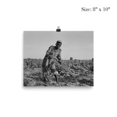 Thirteen-year old sharecropper boy near Americus, Georgia by Dorothea Lange poster 4