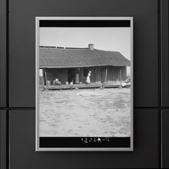 Tobacco sharecroppers home near Tifton, Georgia by Dorothea Lange poster 5