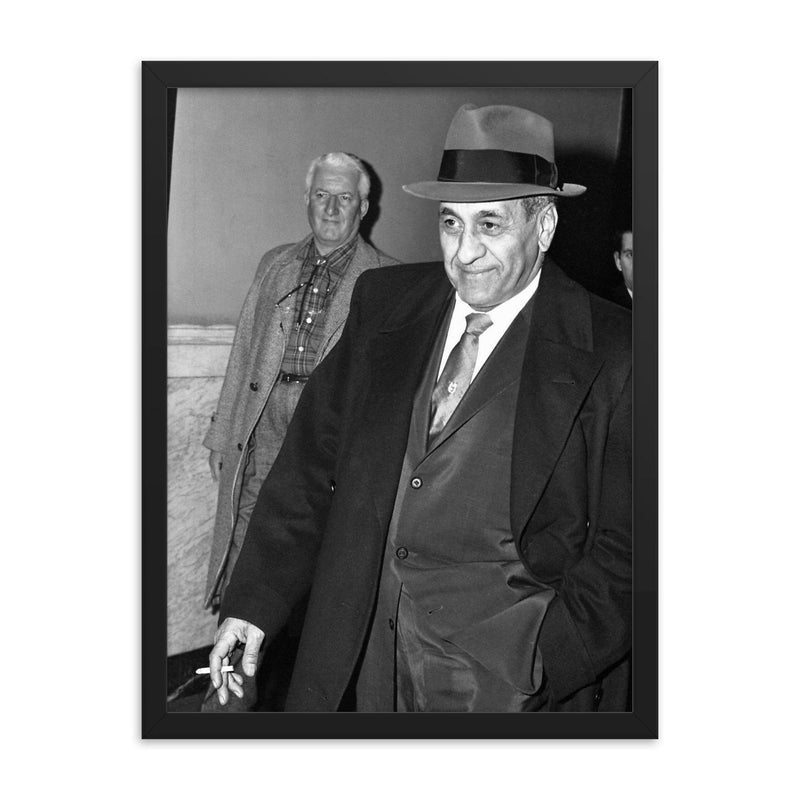 Tony Accardo framed print on a plain backdrop in size 18