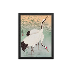 Two Cranes by Ohara Koson framed print on a plain backdrop in size 12"x16".