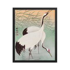 Two Cranes by Ohara Koson framed print on a plain backdrop in size 16"x20".