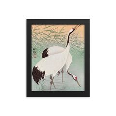 Two Cranes by Ohara Koson framed print on a plain backdrop in size 8"x10".