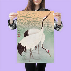 Two Cranes by Ohara Koson poster 3