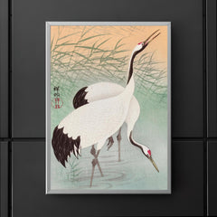 Two Cranes by Ohara Koson poster 5