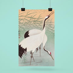 Two Cranes by Ohara Koson poster 6