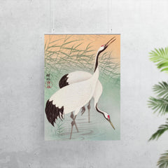 Two Cranes by Ohara Koson poster 7