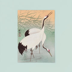 Two Cranes by Ohara Koson poster 8