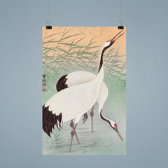 Two Cranes by Ohara Koson poster 9