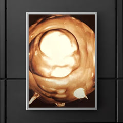 US Nuclear Test, 1945 poster 5