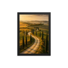 Val d'Orcia Cypress Roads Italy framed print on a plain backdrop in size 12"x16".