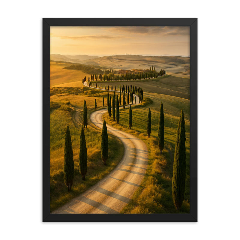 Val d'Orcia Cypress Roads Italy framed print on a plain backdrop in size 18