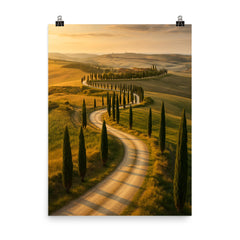 Val d'Orcia Cypress Roads Italy poster on a plain backdrop in size 8"x10".