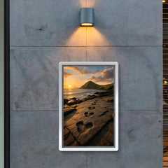 Valentia Island Tetrapod Trackway Ireland poster 2