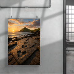 Valentia Island Tetrapod Trackway Ireland poster 4