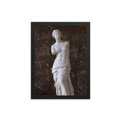 Venus de Milo photograph framed print on a plain backdrop in size 12"x16".