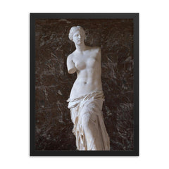 Venus de Milo photograph framed print on a plain backdrop in size 18"x24".