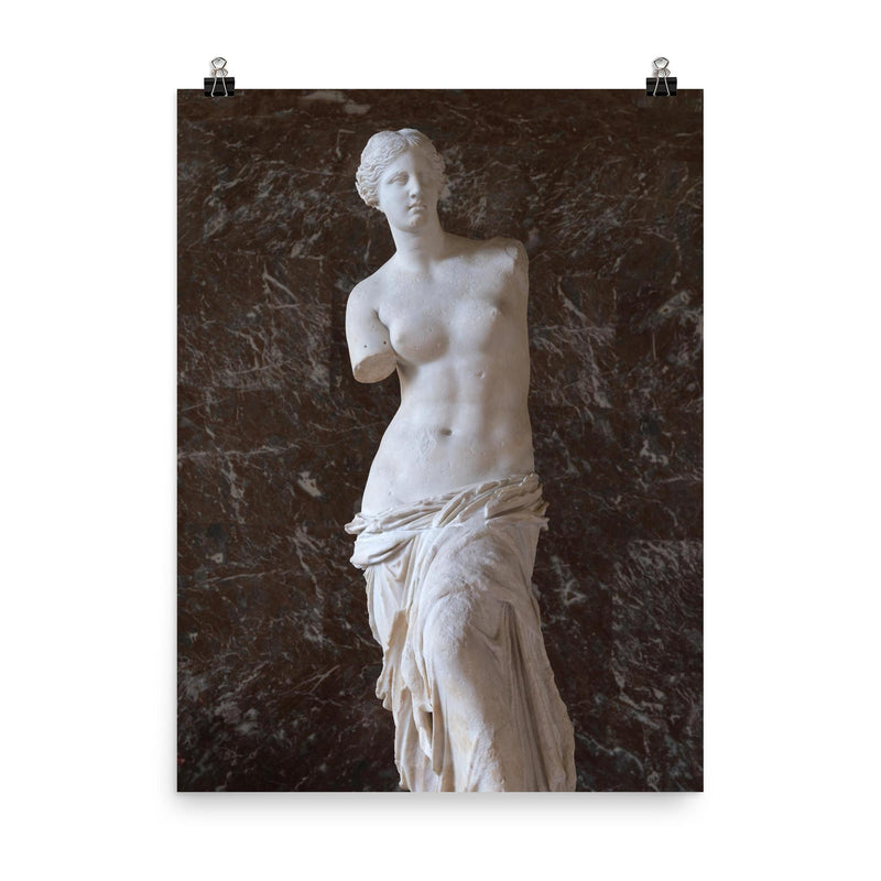 Venus de Milo photograph poster on a plain backdrop in size 8
