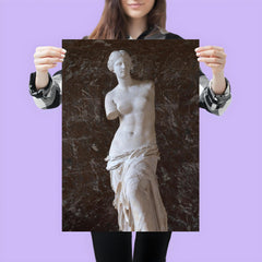 Venus de Milo photograph poster 3