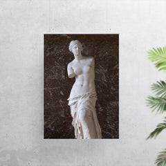 Venus de Milo photograph poster 7