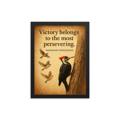 victory belongs to the persevering napoleon bonaparte persistent woodpecker inspiring quote framed print on a plain backdrop in size 12"x16".