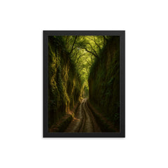 Vie Cave Etruscan Sunken Roads Italy framed print on a plain backdrop in size 12"x16".