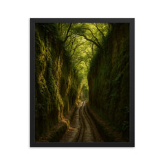 Vie Cave Etruscan Sunken Roads Italy framed print on a plain backdrop in size 16"x20".