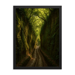 Vie Cave Etruscan Sunken Roads Italy framed print on a plain backdrop in size 18"x24".