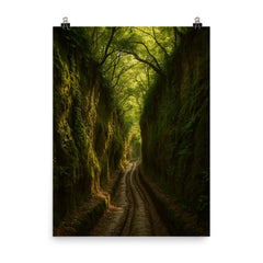 Vie Cave Etruscan Sunken Roads Italy poster on a plain backdrop in size 8"x10".