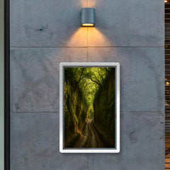 Vie Cave Etruscan Sunken Roads Italy poster 2