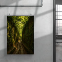 Vie Cave Etruscan Sunken Roads Italy poster 4