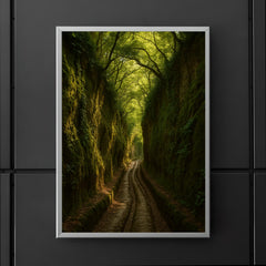 Vie Cave Etruscan Sunken Roads Italy poster 5