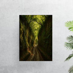 Vie Cave Etruscan Sunken Roads Italy poster 7