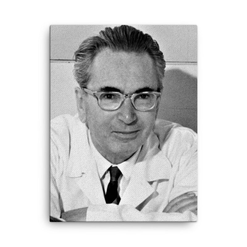 Viktor Frankl canvas print on a plain backdrop in size 18