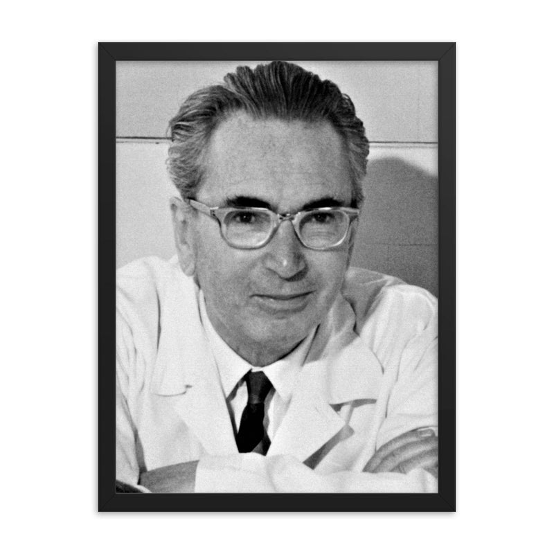 Viktor Frankl framed print on a plain backdrop in size 18