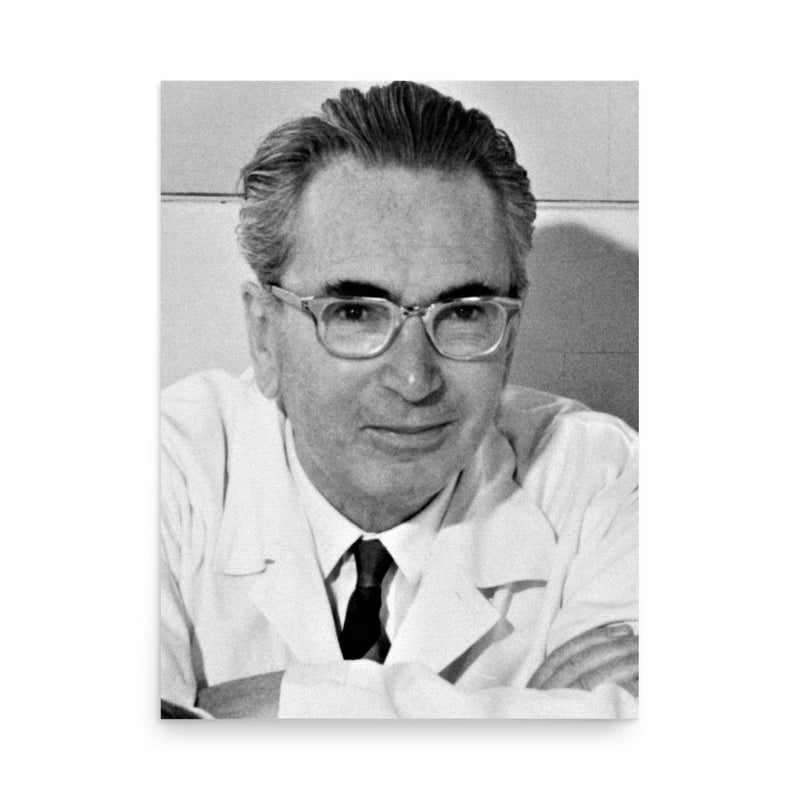 Viktor Frankl poster on a plain backdrop in size 18