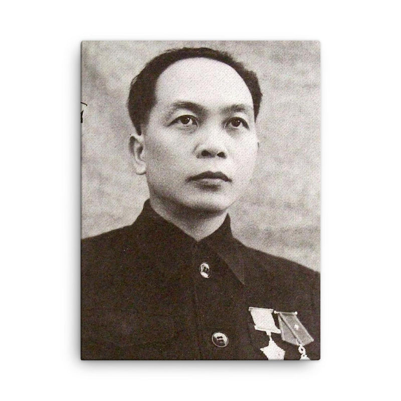 Vo Nguyen Giap canvas print on a plain backdrop in size 18