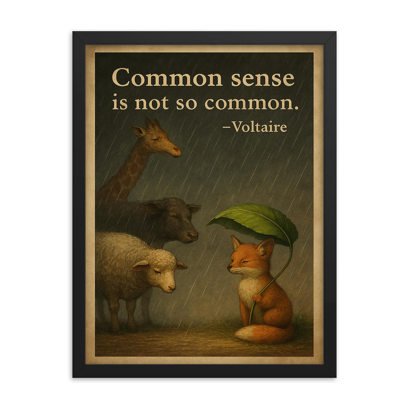 voltaire quote common sense animal shelter rain inspiring framed print on a plain backdrop in size 18