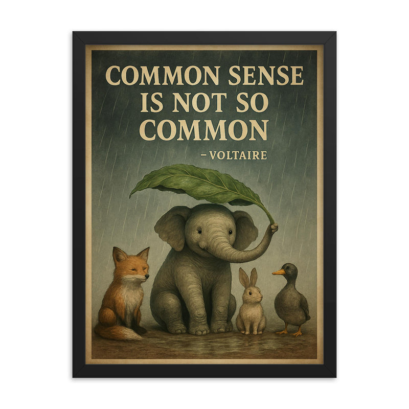 Voltaire quote common sense animal shelter rain inspiring poster framed print on a plain backdrop in size 18