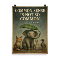 Voltaire quote common sense animal shelter rain inspiring poster poster on a plain backdrop in size 8"x10".