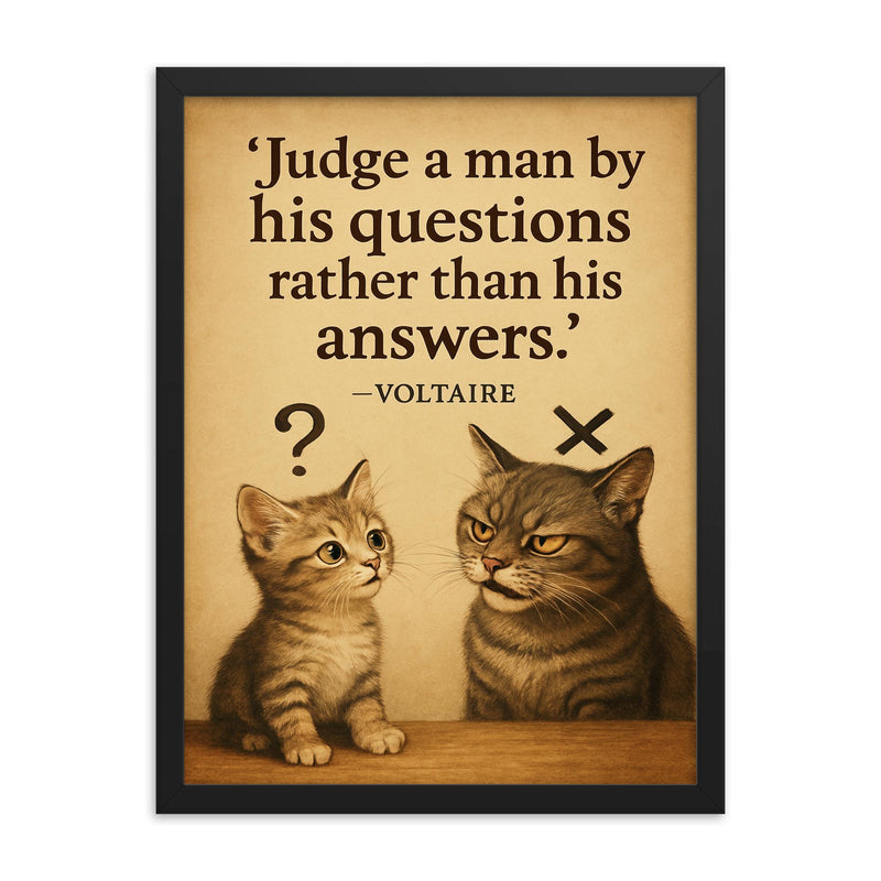 voltaire quote judge by questions curious kitten know it all cat framed print on a plain backdrop in size 18