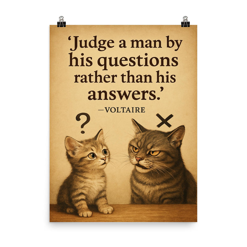 voltaire quote judge by questions curious kitten know it all cat poster on a plain backdrop in size 8