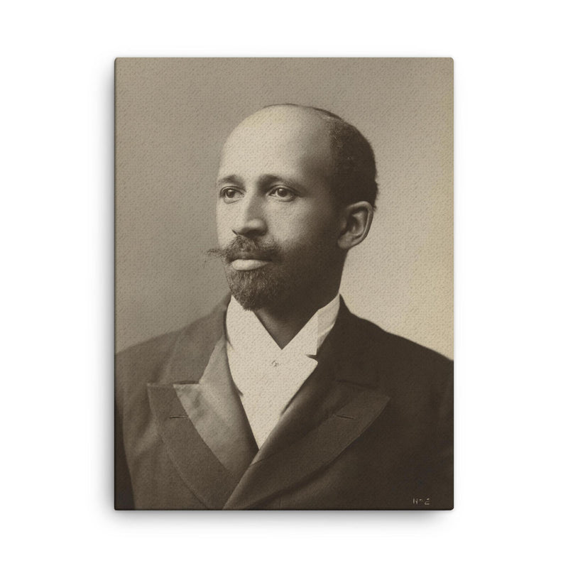 W E B Du Bois canvas print on a plain backdrop in size 18