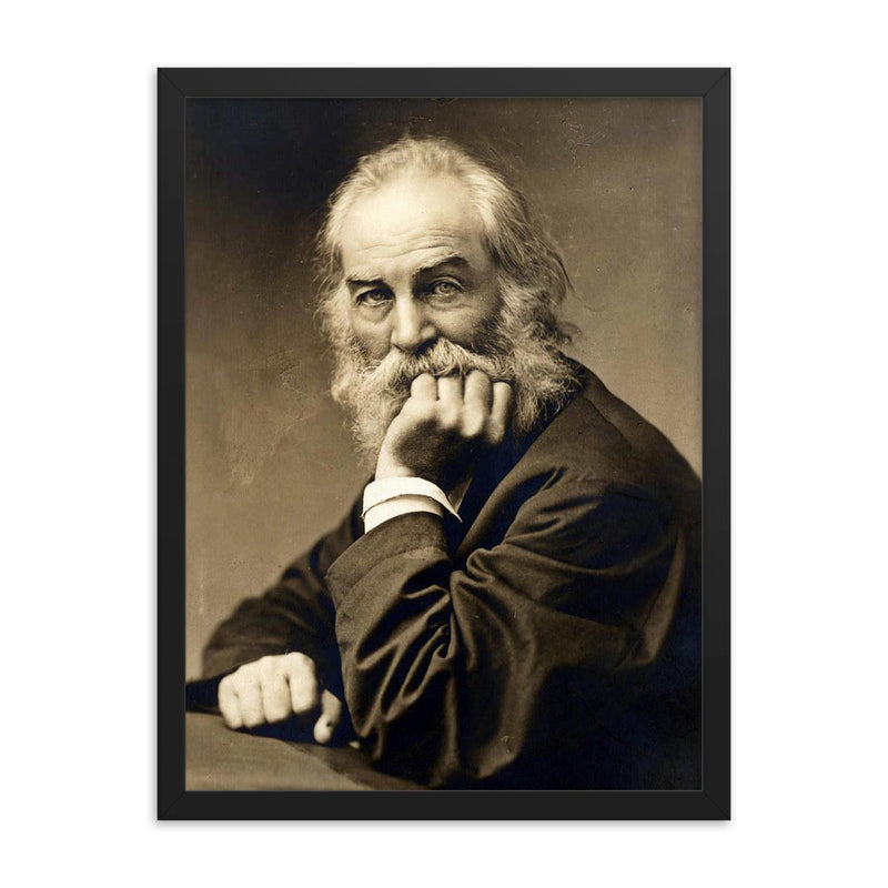 Walt Whitman framed print on a plain backdrop in size 18