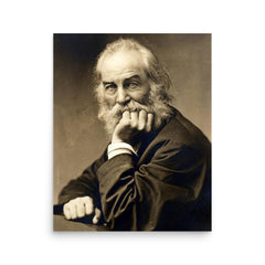 Walt Whitman poster on a plain backdrop in size 16"x20".