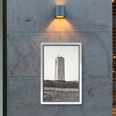 Washington Monument, 1860 poster 2