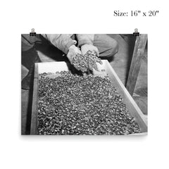 Wedding Rings of Holocaust Victims, 1945 poster 2