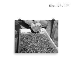 Wedding Rings of Holocaust Victims, 1945 poster 3