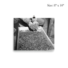 Wedding Rings of Holocaust Victims, 1945 poster 4