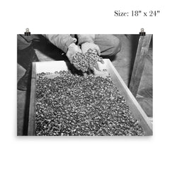 Wedding Rings of Holocaust Victims, 1945 poster 5