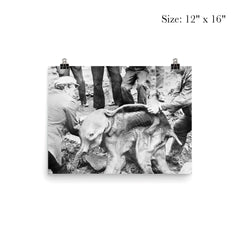 Well Preserved Baby Woolly Mammoth Calf Named Dima, 1977 poster 3